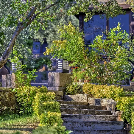 Hotel Dionysos Special Class - Adults Only 3*