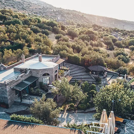 Dionysos Special Class - Adults Only 3*