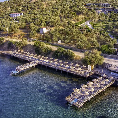 Dionysos Special Class - Adults Only فندق Assos