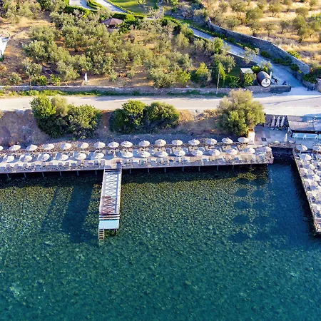 Dionysos Special Class - Adults Only Hotel