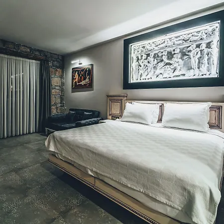 Dionysos Special Class - Adults Only 3* Assos