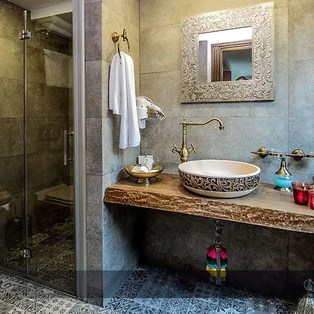 Dionysos Special Class - Adults Only 3*