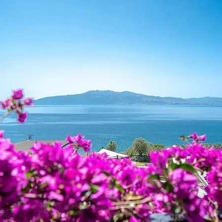 Dionysos Special Class - Adults Only Hotel