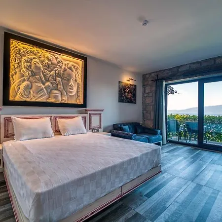 Dionysos Special Class - Adults Only Hotel Assos