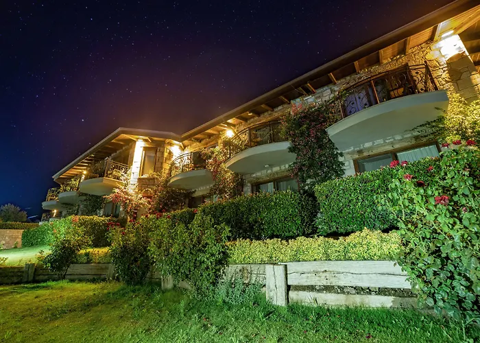 Dionysos Special Class - Adults Only Assos