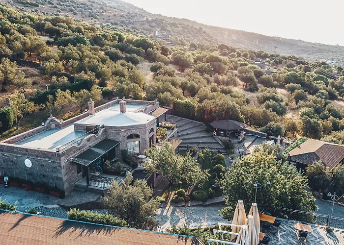 Dionysos Special Class - Adults Only 3*