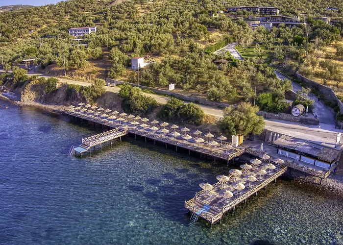 Dionysos Special Class - Adults Only Hotel Assos