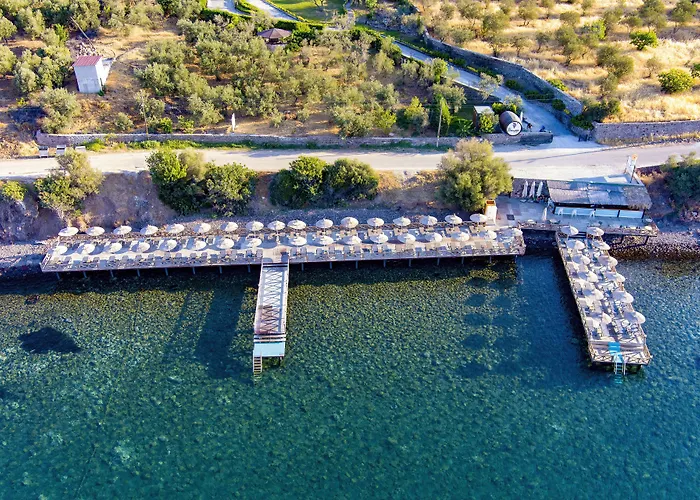 Dionysos Special Class - Adults Only Hotel