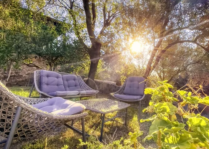 Dionysos Special Class - Adults Only 3*