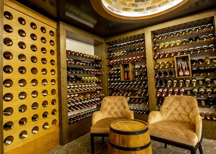 Hotel Dionysos Special Class - Adults Only 3*