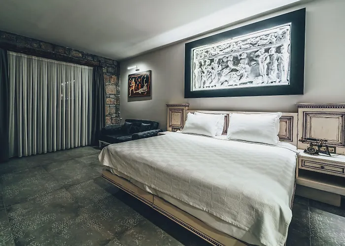 Dionysos Special Class - Adults Only 3* Assos