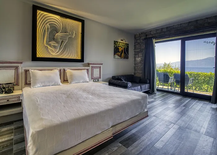 Dionysos Special Class - Adults Only Hotel Assos